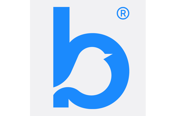 Bluebird Care Hounslow & Chiswick - A company logo