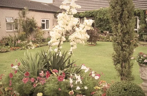 Eden Cottage Care Home - An outside view of the home