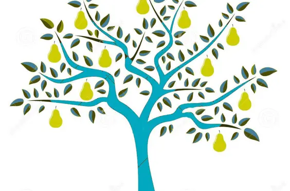 Pear Tree Residential Care Home - An additional photo
