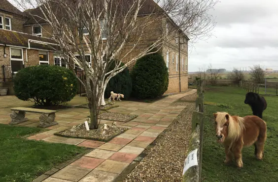 Chimnies Residential Care Home - An outside view of the home