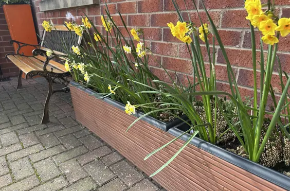 Elvaston Lodge Nursing Home - Photo of the garden where applicable