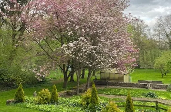 Sharnbrook House - Photo of the garden where applicable