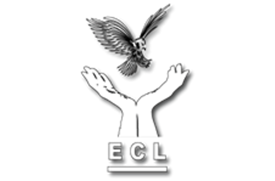 Eagle Care Ltd - A company logo