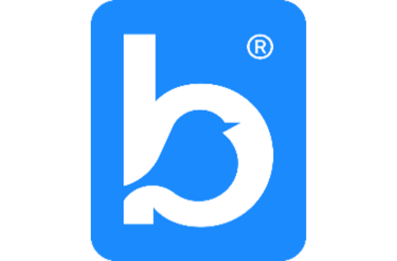 Bluebird Care (Lewes) - A company logo