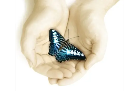 Divine Care Provider Ltd - A company logo
