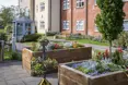 Grace Care Centre - Photo of the garden where applicable