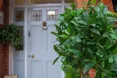 Charlton Kings Care Home - An outside view of the home