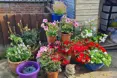 Photo of the garden where applicable