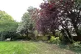 An additional photo