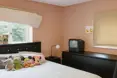 Photo of a typical bedroom