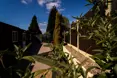 Photo of the garden where applicable