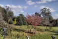 Photo of the garden where applicable