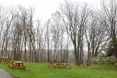 Photo of the garden where applicable