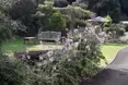 Photo of the garden where applicable