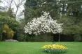 Photo of the garden where applicable