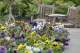 Photo of the garden where applicable