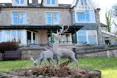 Westmorland Court Nursing and Residential Home - An outside view of the home