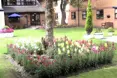 Photo of the garden where applicable