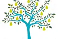 Pear Tree Residential Care Home - An additional photo