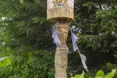 An additional photo