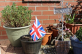 Photo of the garden where applicable