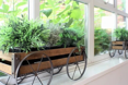 Photo of the garden where applicable