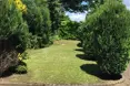 Photo of the garden where applicable
