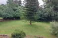 Photo of the garden where applicable