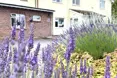 Bramble Down - An outside view of the home