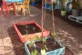 Photo of the garden where applicable