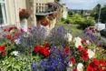 Photo of the garden where applicable