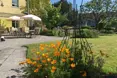 Photo of the garden where applicable