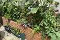 Z & M Care Limited - 4-10 Lyndhurst Road - An outside view of the home