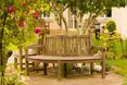 Photo of the garden where applicable