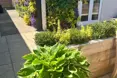 Blossom House - Photo of the garden where applicable