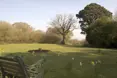Photo of the garden where applicable