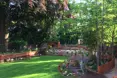 Photo of the garden where applicable