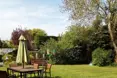 26 St Barnabas Road - Photo of the garden where applicable