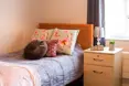 Photo of a typical bedroom