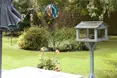 Photo of the garden where applicable