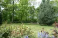 Photo of the garden where applicable