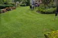 Photo of the garden where applicable