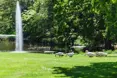 An additional photo