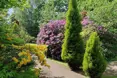 Hazeldene House - Photo of the garden where applicable